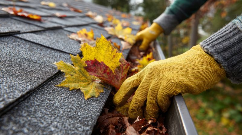 Fall Siding Maintenance